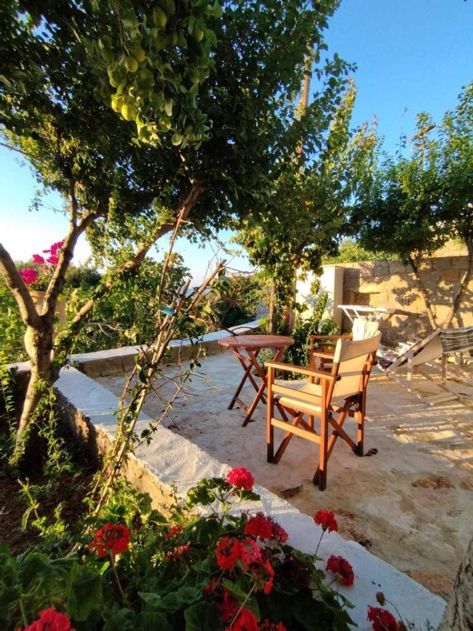 Traditional Studio Chora Patmos エクステリア 写真