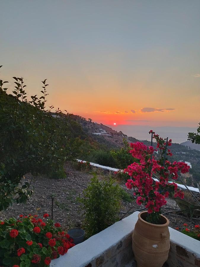 Traditional Studio Chora Patmos エクステリア 写真