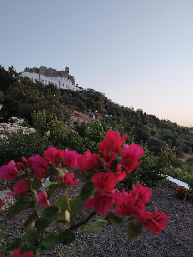 Traditional Studio Chora Patmos エクステリア 写真